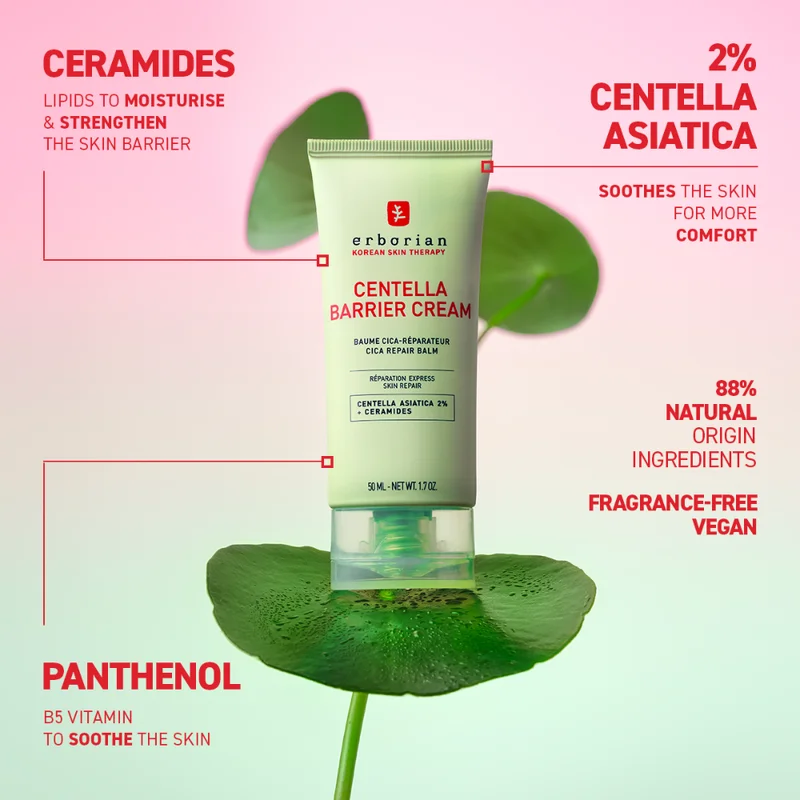 sweetcare-1264891